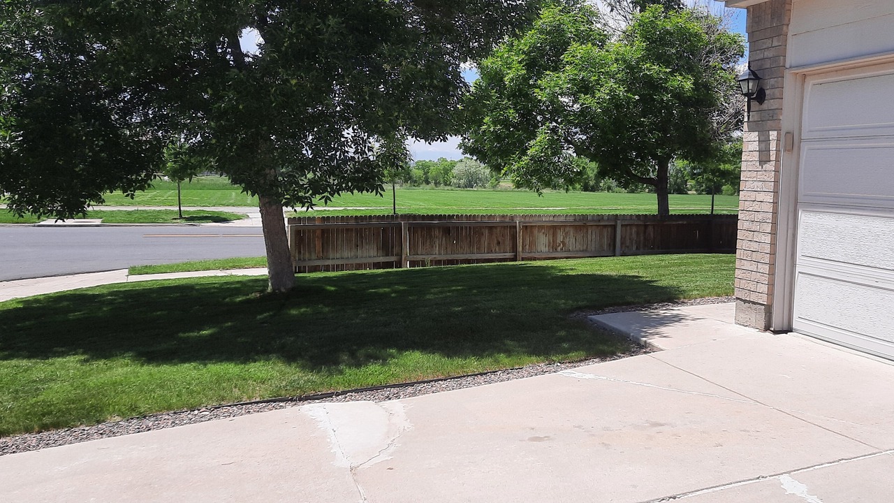 Photo of Others in Henderson