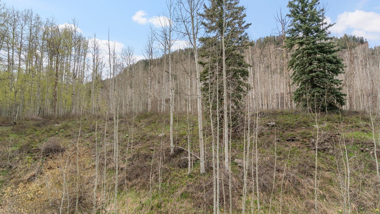 Photo of Outdoor in Columbine Lake