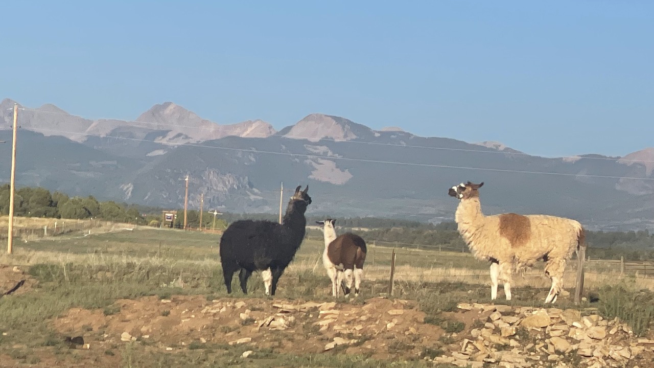 Photo of Others in Mancos