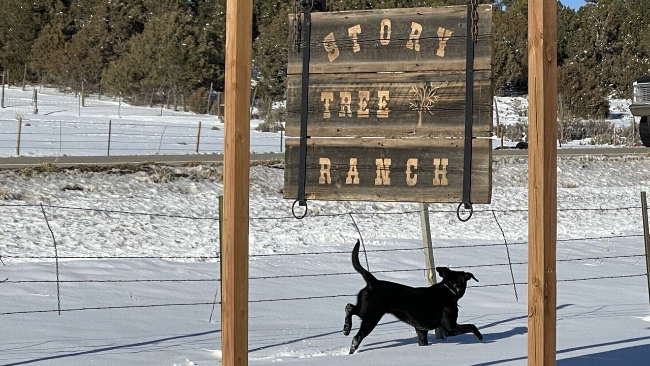 Photo of Others in Mancos
