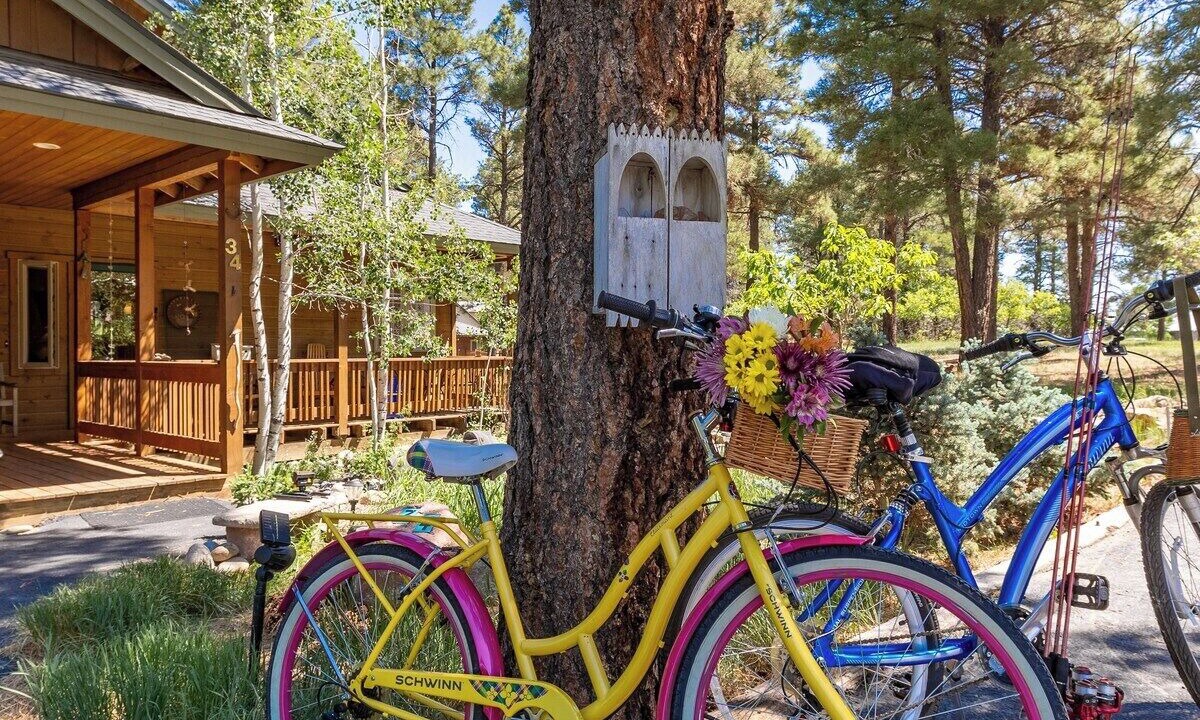 Photo of Others in Pagosa Springs