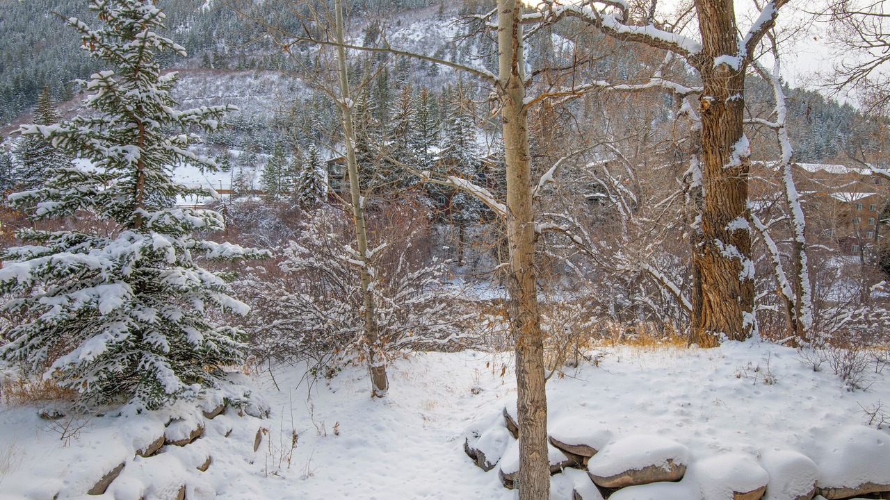 Photo of Outdoor in Avon