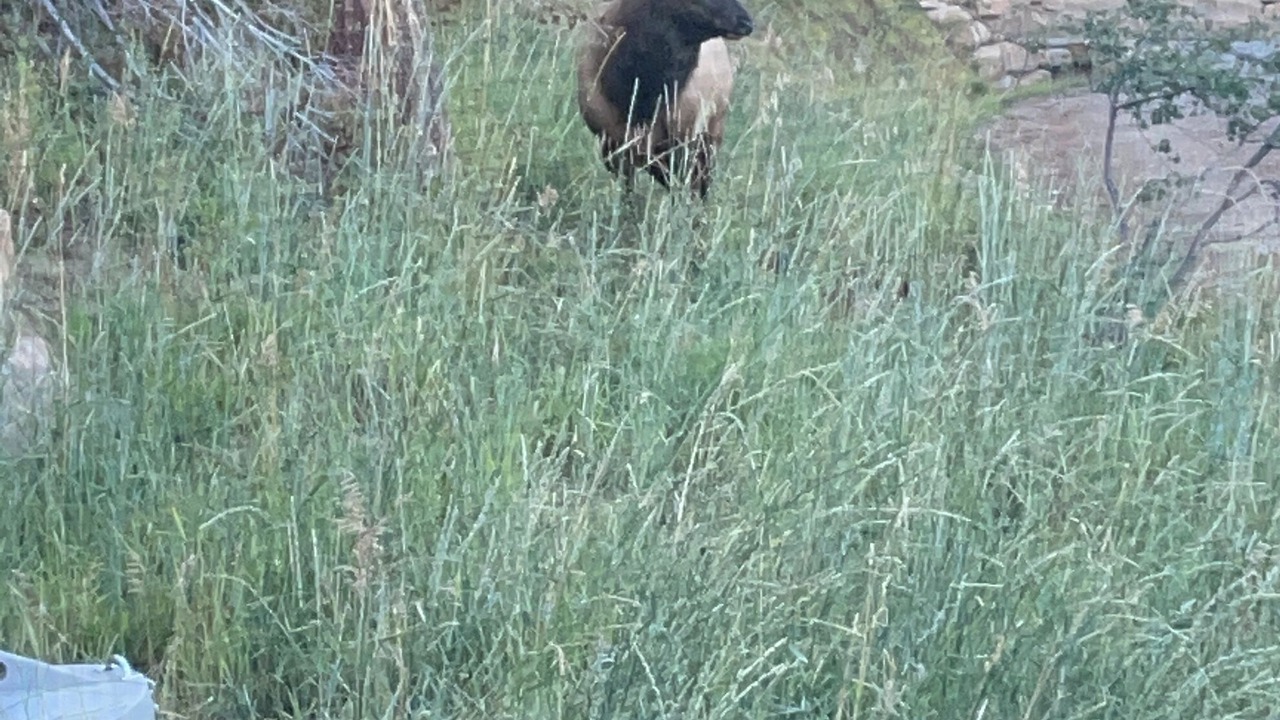 Photo of Others in Edwards