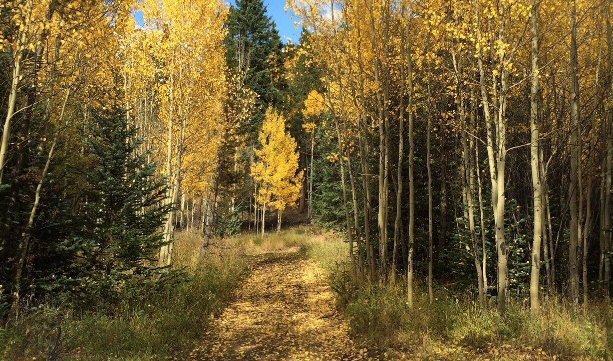 Photo of Outdoor in Idaho Springs
