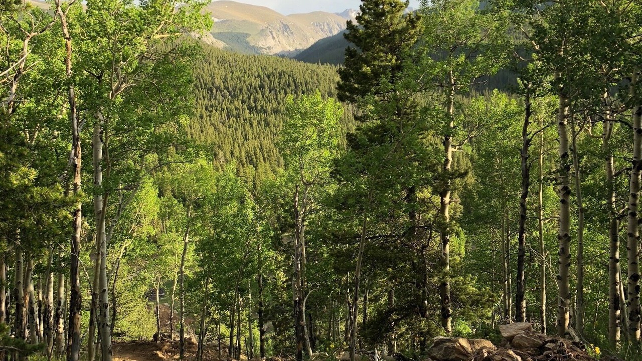 Photo of Outdoor in Idaho Springs