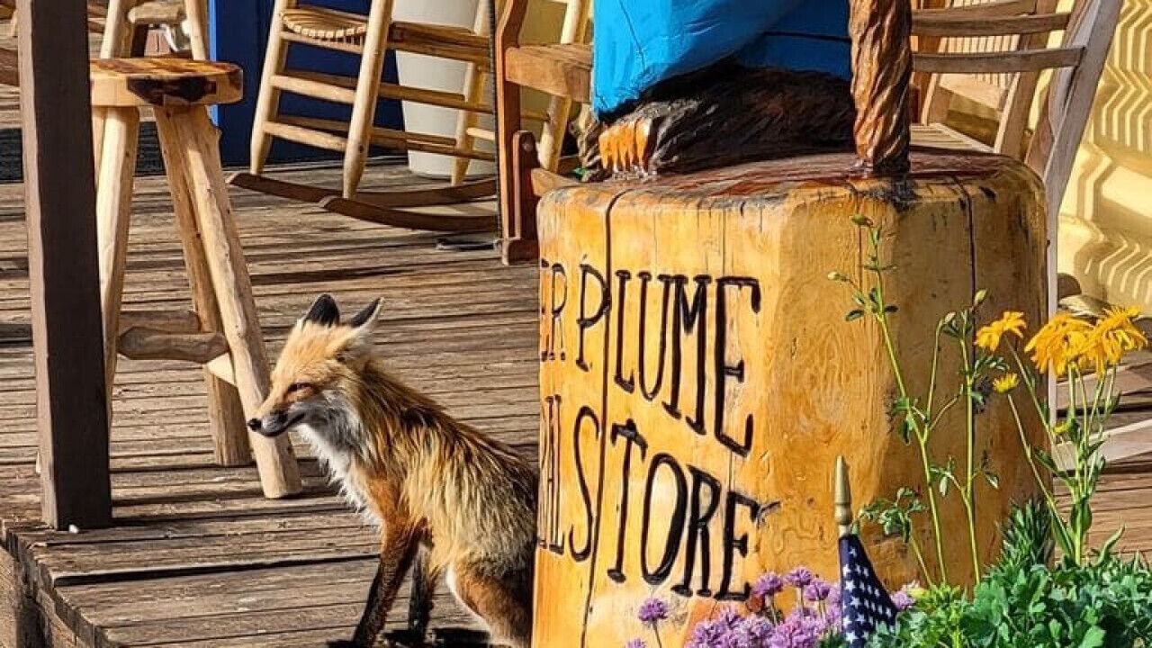 Photo of Outdoor in Pitkin
