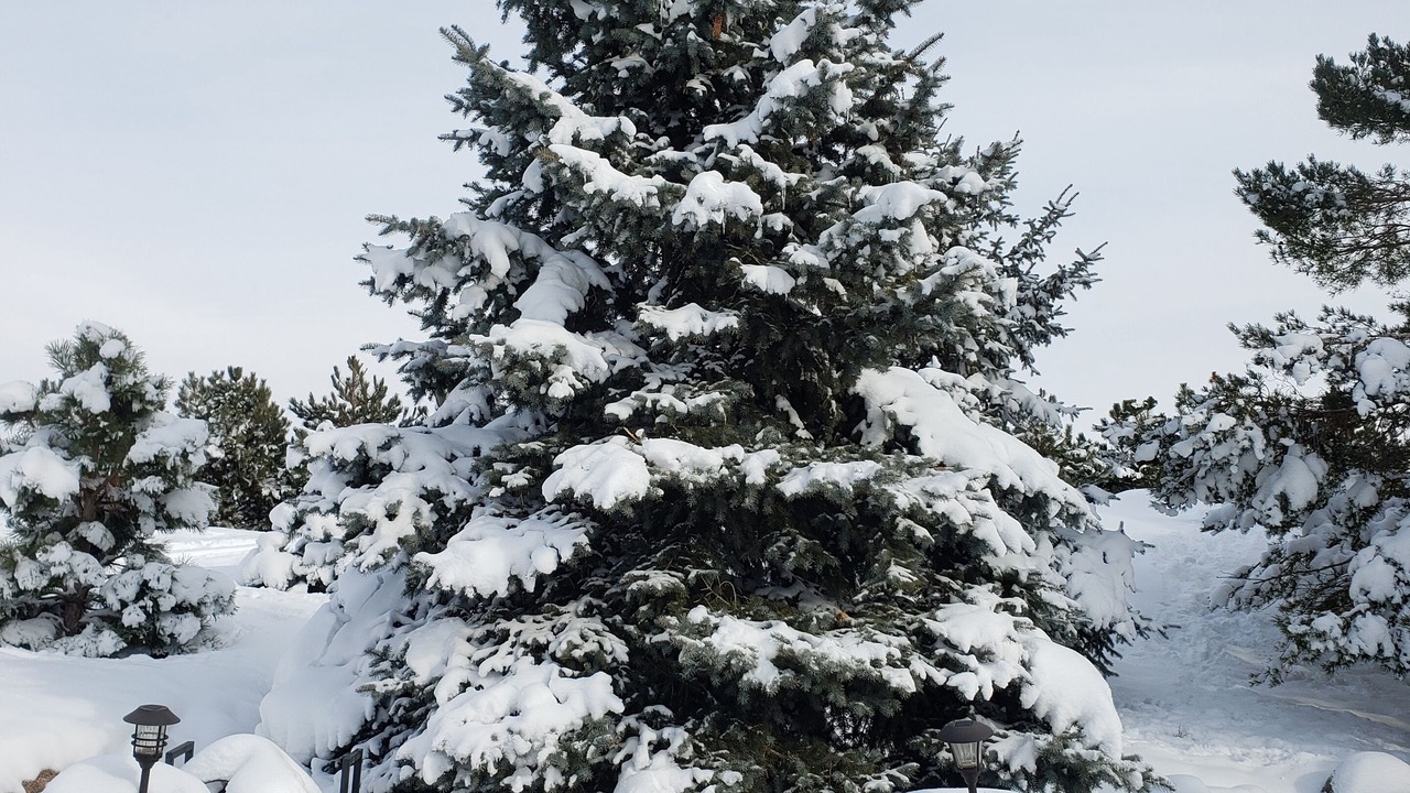 Photo of Outdoor in Fort Collins