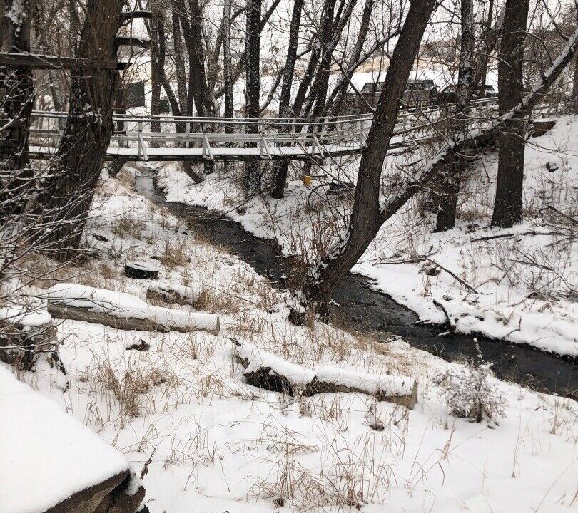 Photo of Outdoor in Golden