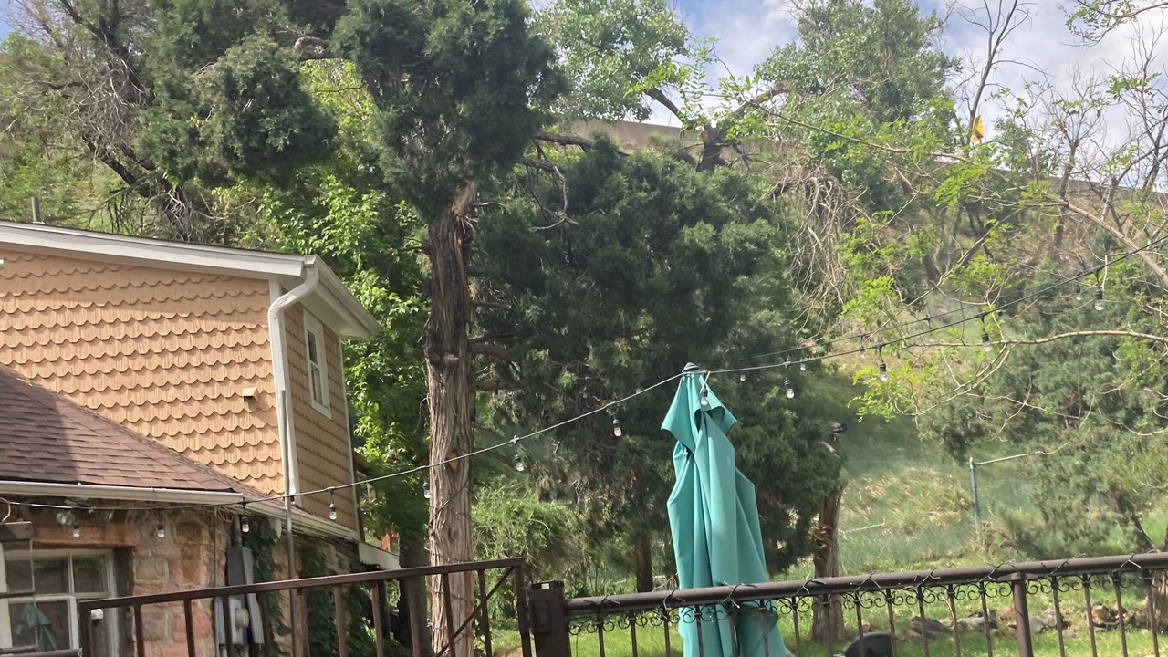 Photo of Outdoor in Golden