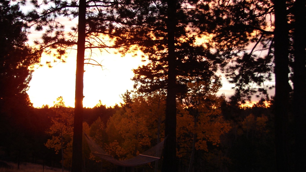 Photo of Outdoor in Divide