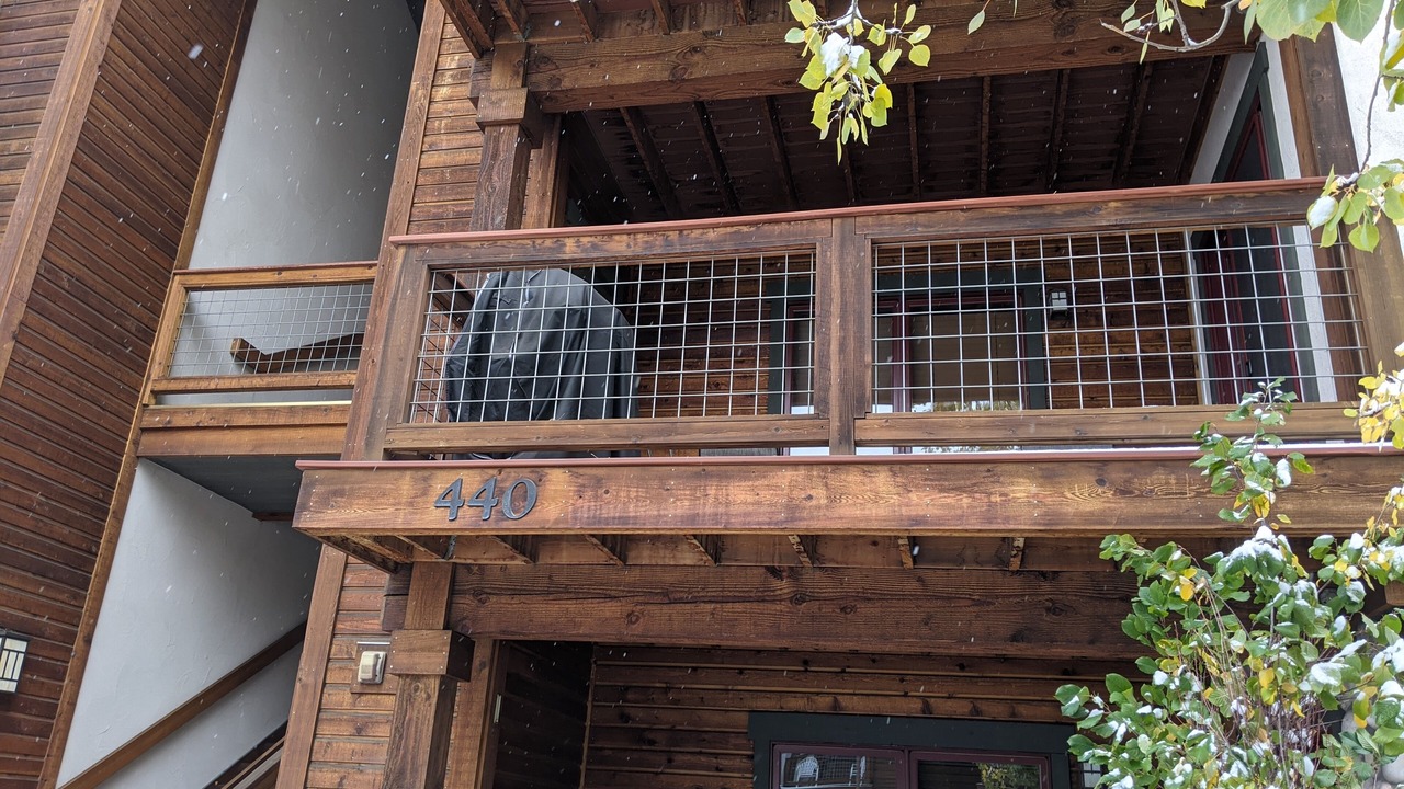 Photo of Outdoor in Steamboat Springs