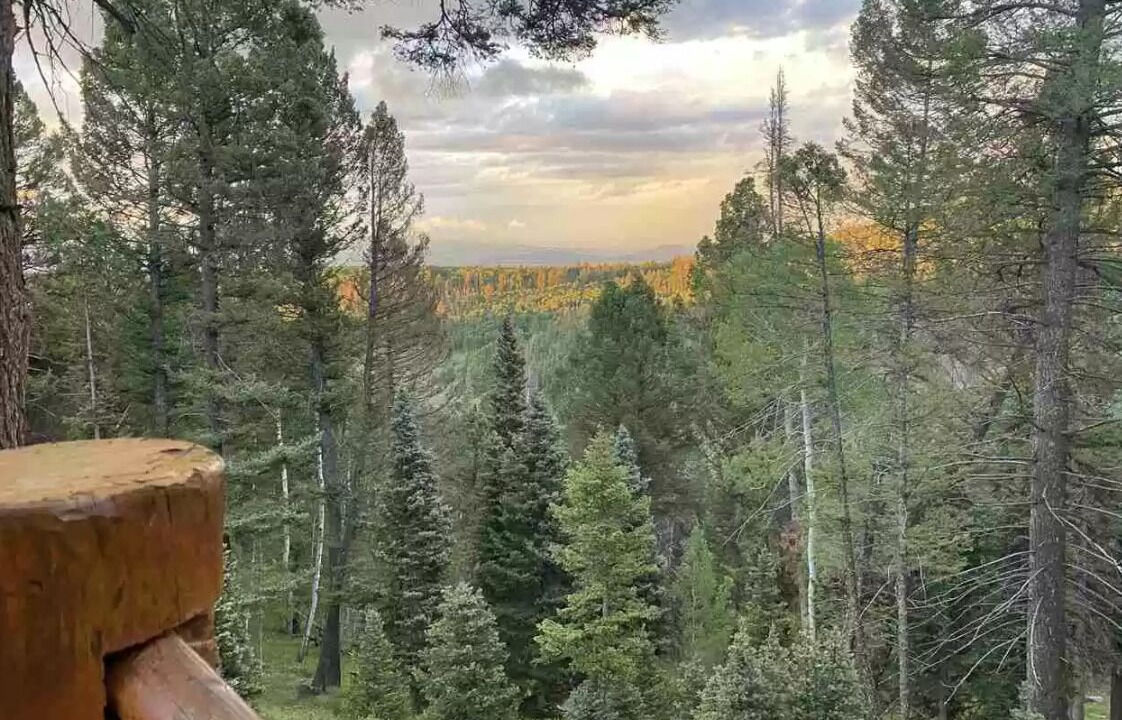 Photo of Others in Cimarron