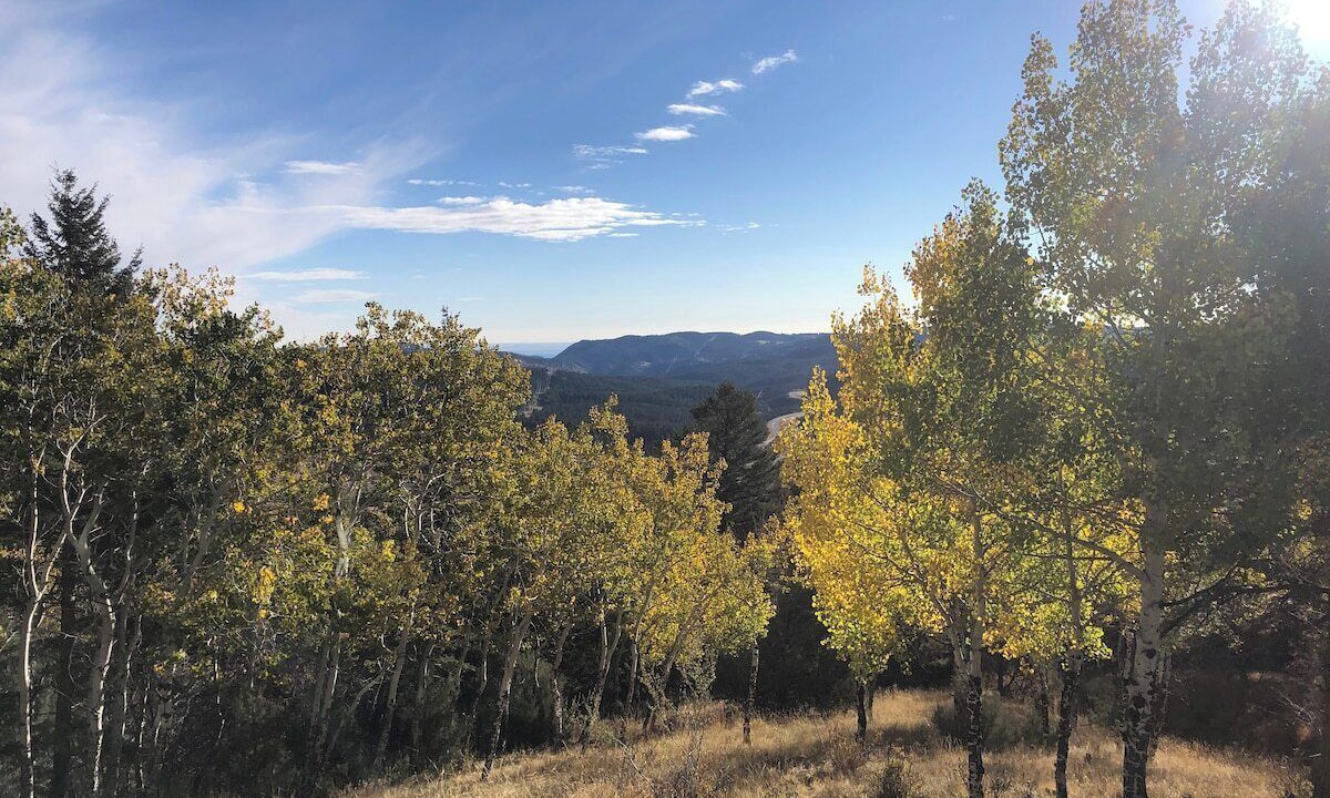 Photo of Others in Evergreen