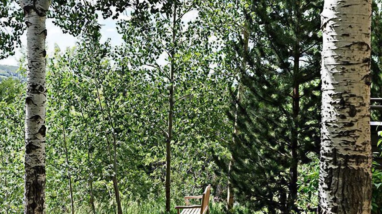 Photo of Others in Aspen