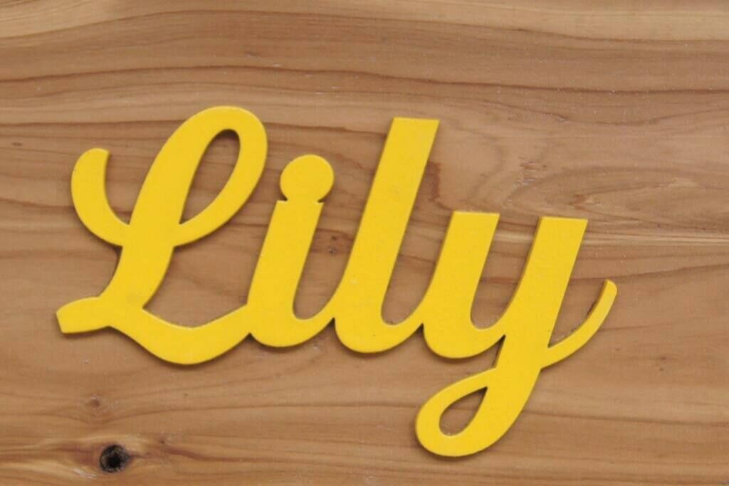 Photo of Others in Lake City