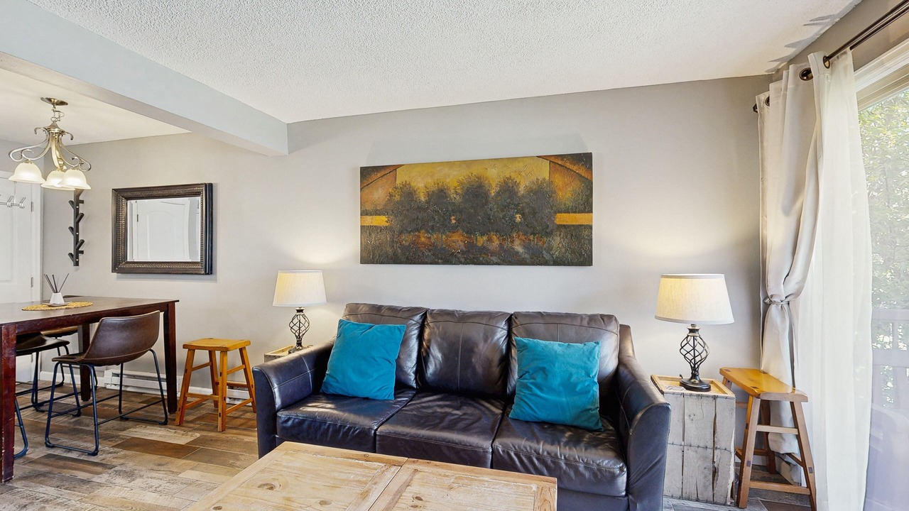 Photo of Livingroom in Steamboat Springs