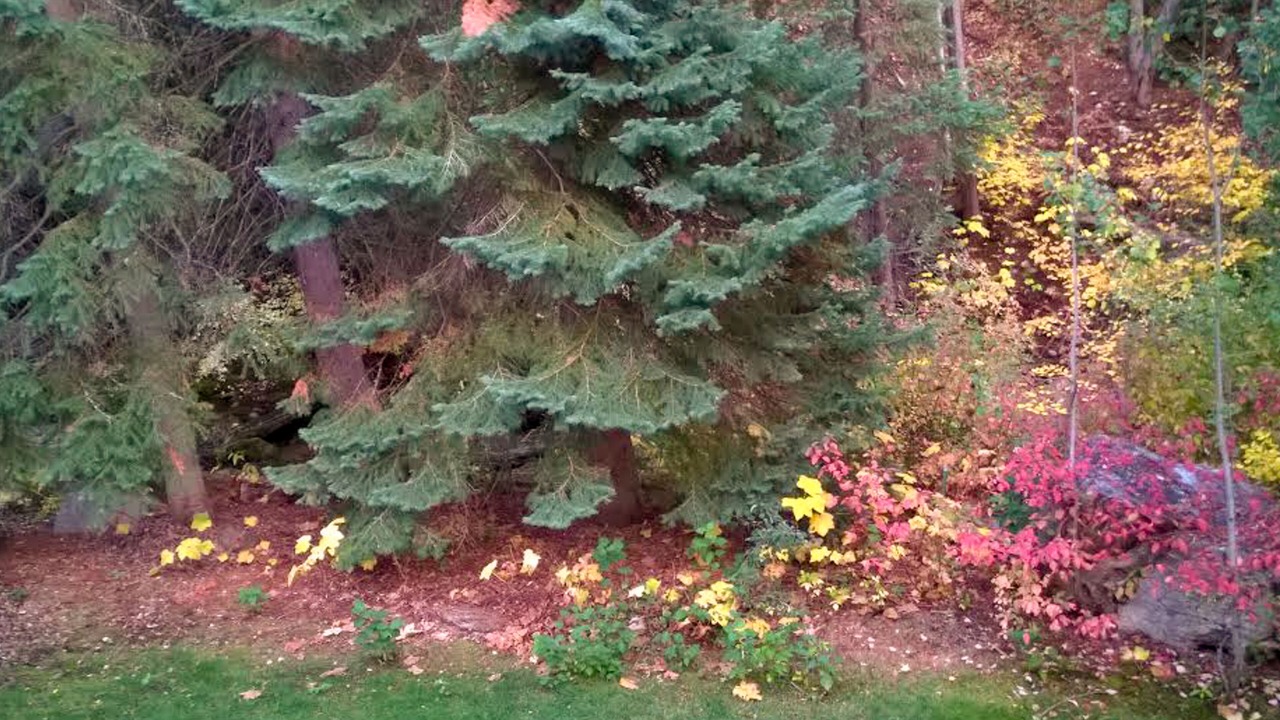 Photo of Outdoor in Steamboat Springs