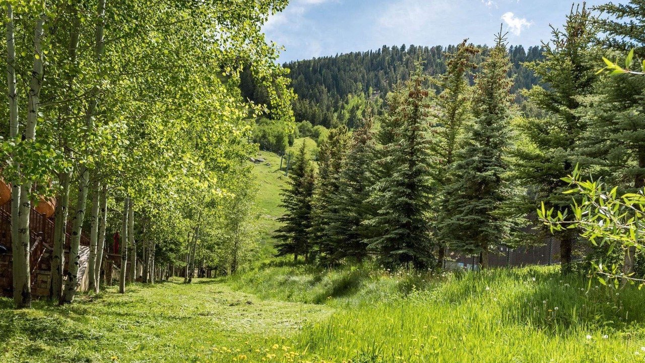 Photo of Others in Aspen