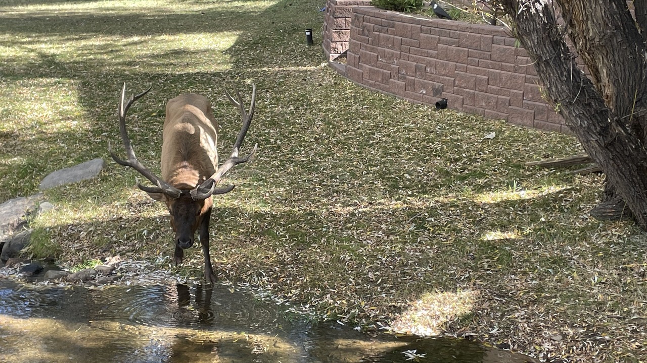 Photo of Others in Evergreen