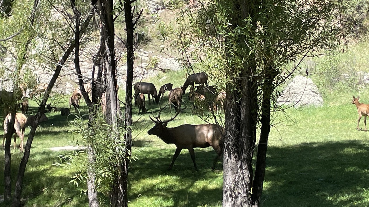 Photo of Others in Evergreen