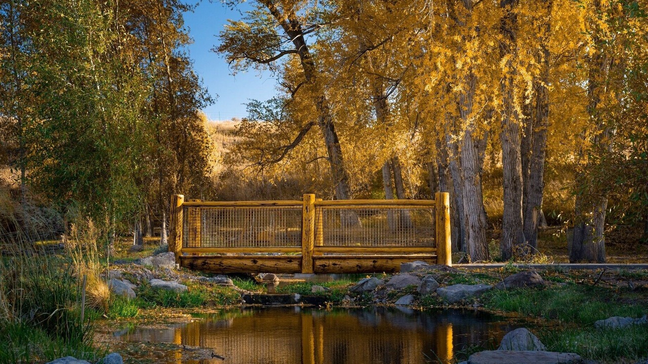 Photo of Others in South Fork