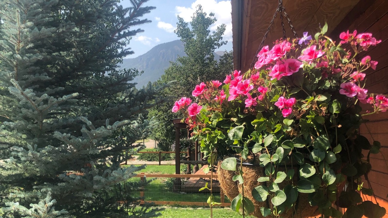 Photo of Outdoor in Lake City