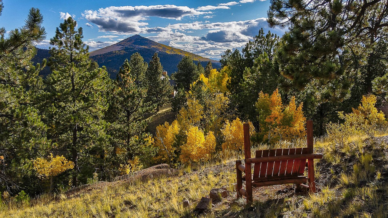 Photo of Others in Cripple Creek