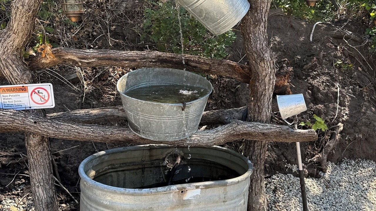 Photo of Outdoor in Collbran