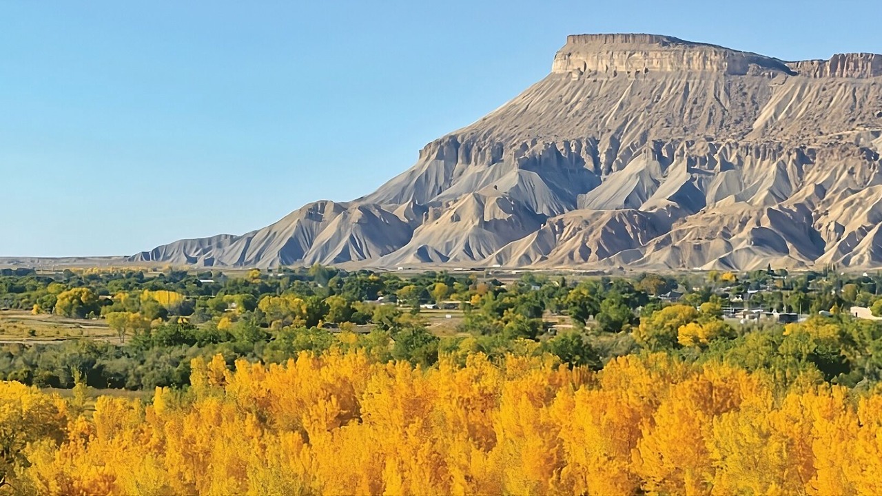 Photo of Others in Grand Junction