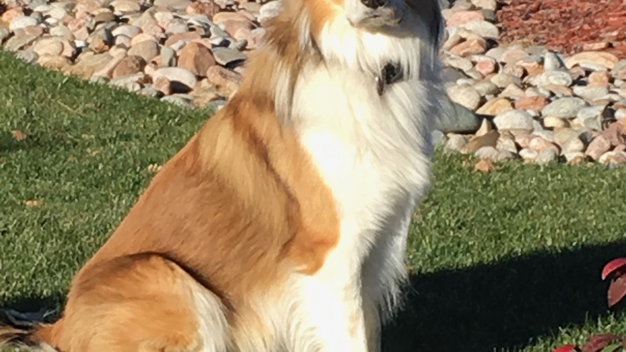 Photo of Outdoor in Pueblo
