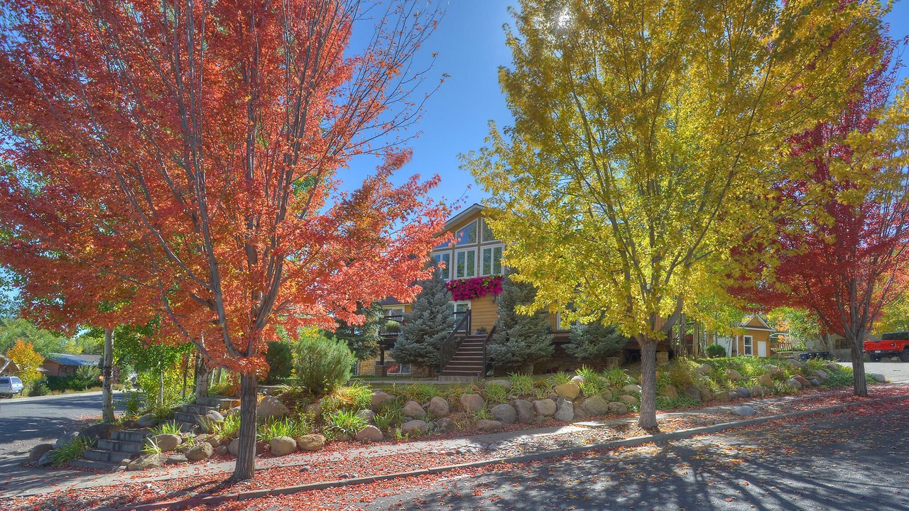 Photo of Outdoor in Durango