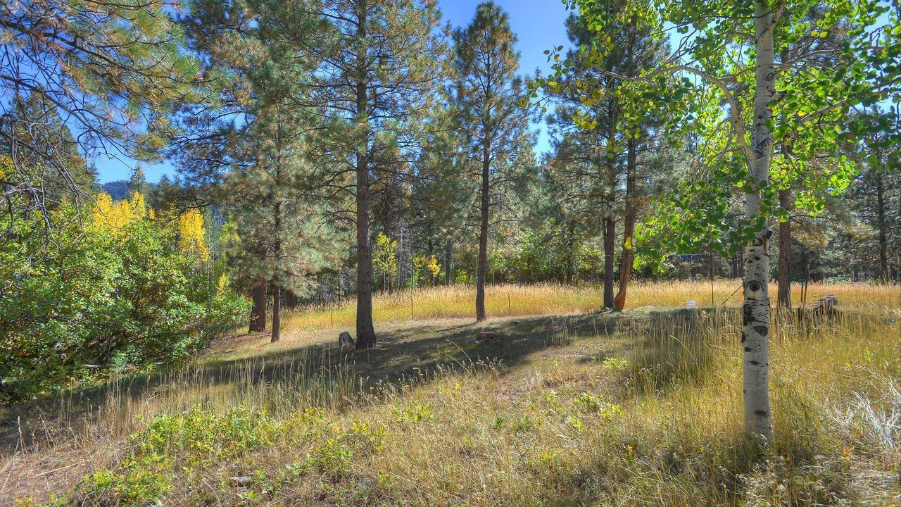 Photo of Others in Los Ranchitos Estates