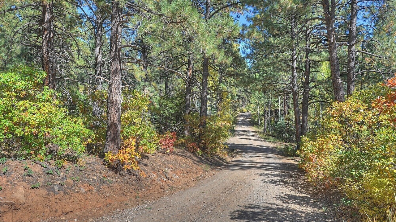 Photo of Others in Los Ranchitos Estates