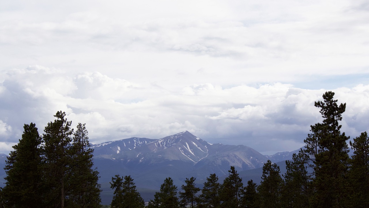 Photo of Others in Leadville North