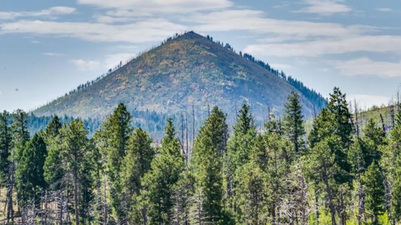 Photo of Others in Denver
