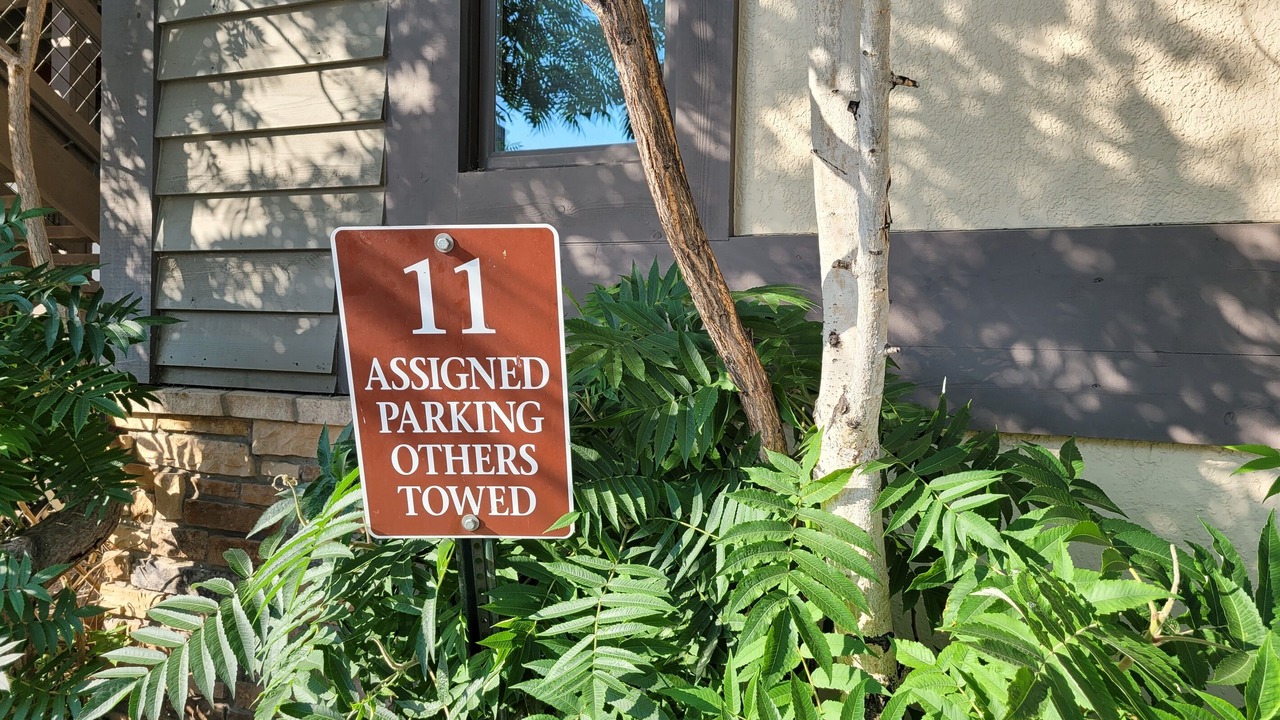 Photo of Others in Downtown Steamboat Springs
