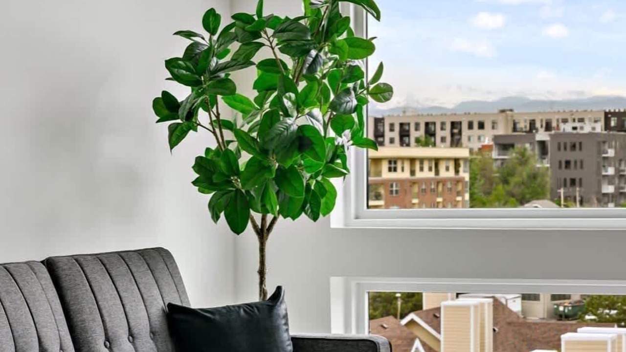 Photo of Livingroom in Highland