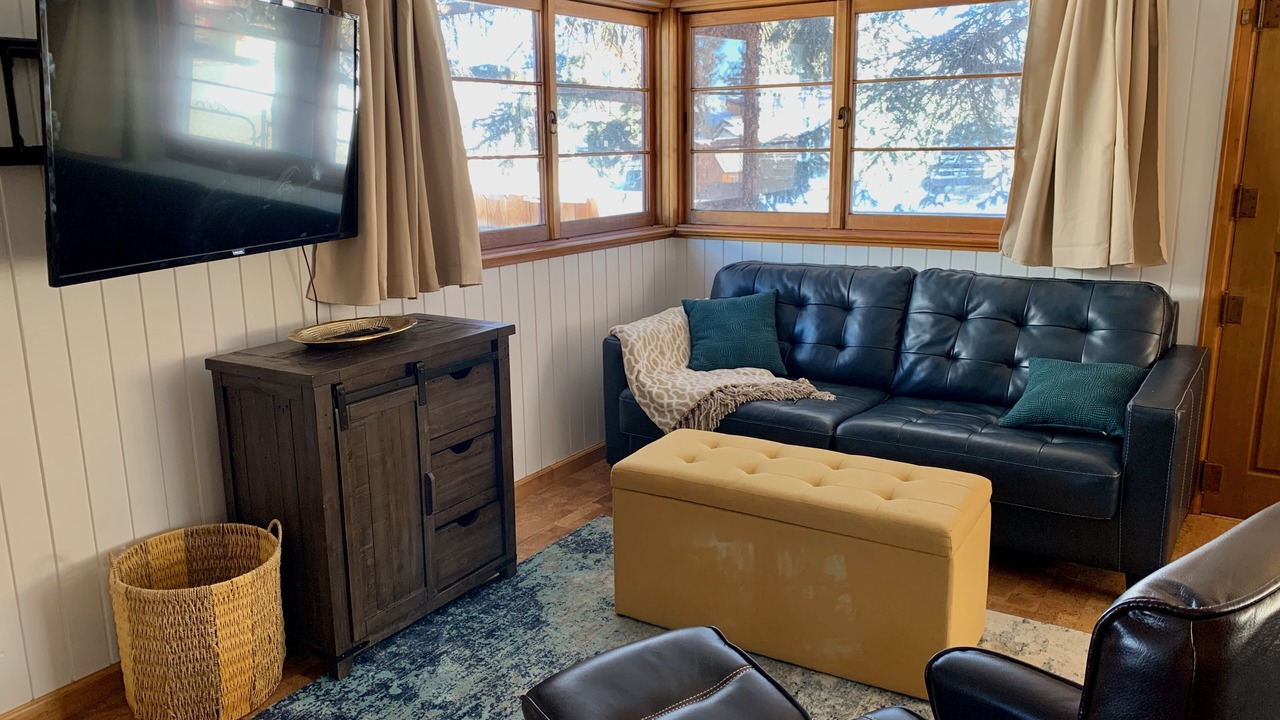 Photo of Livingroom in Leadville