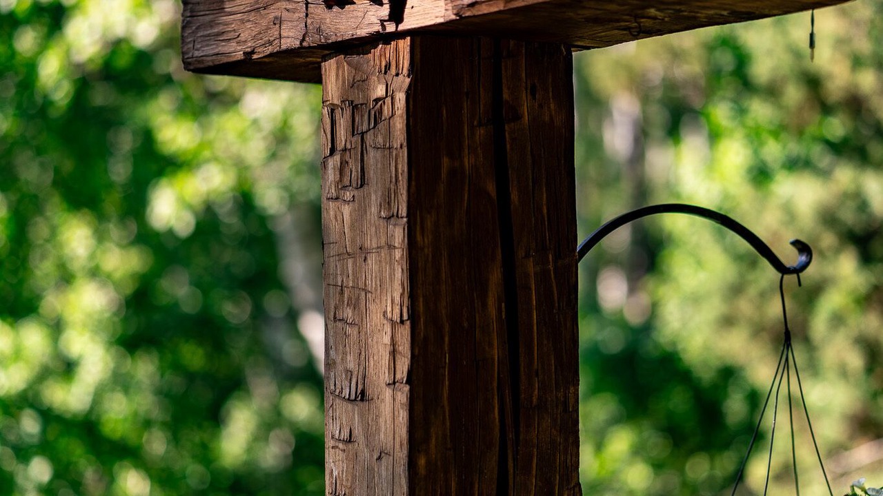 Photo of Outdoor in Carbondale