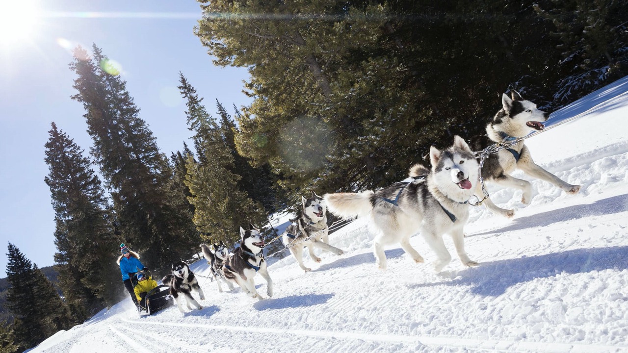 Photo of Others in Baldy Mountain