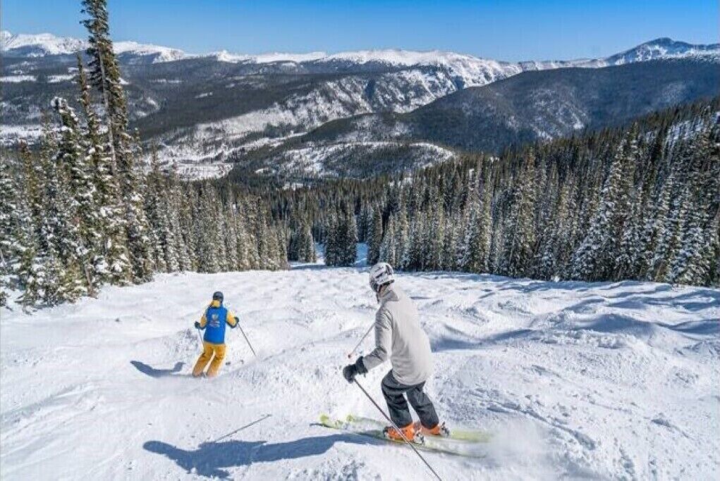 Photo of Others in Fraser