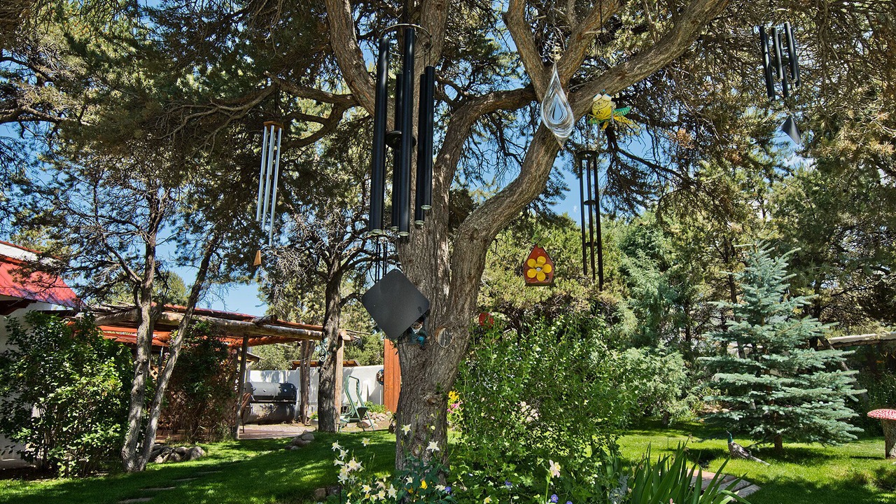 Photo of Outdoor in Crestone
