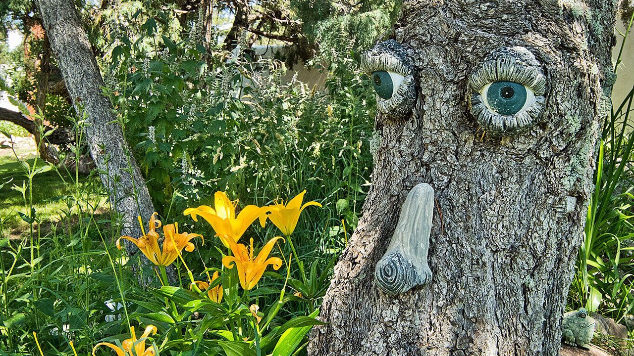 Photo of Outdoor in Crestone