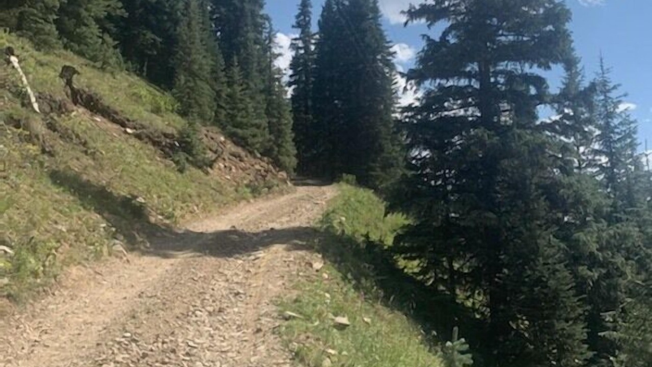 Photo of Outdoor in Silverton