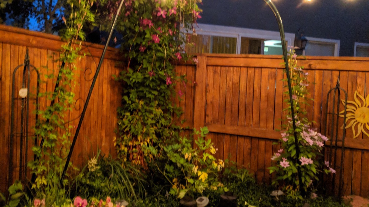 Photo of Outdoor in Westridge