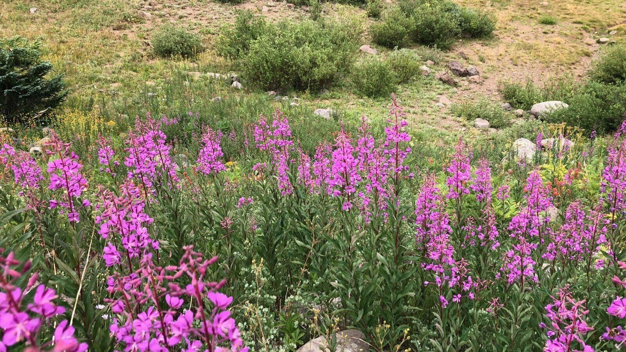 Photo of Outdoor in Yampa