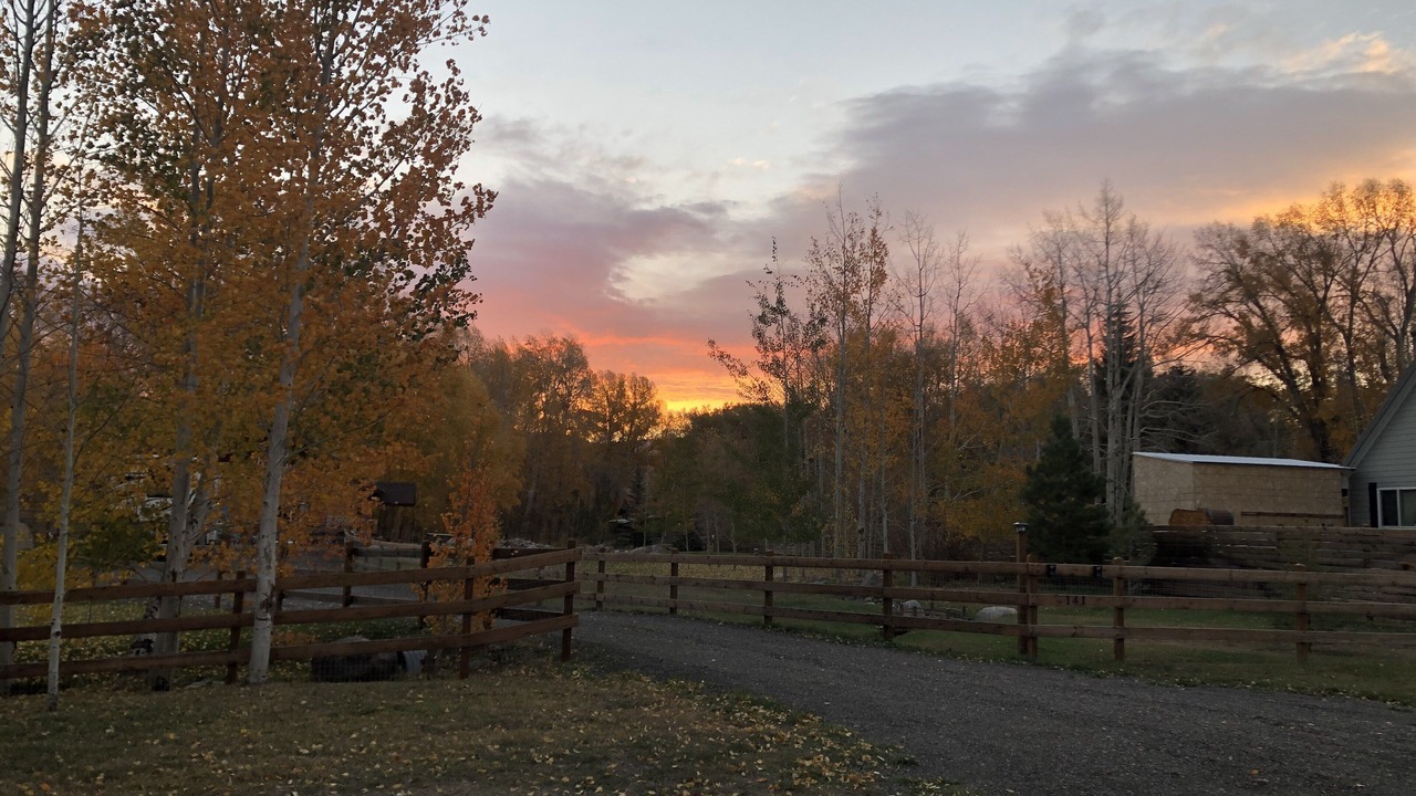 Photo of Outdoor in Yampa