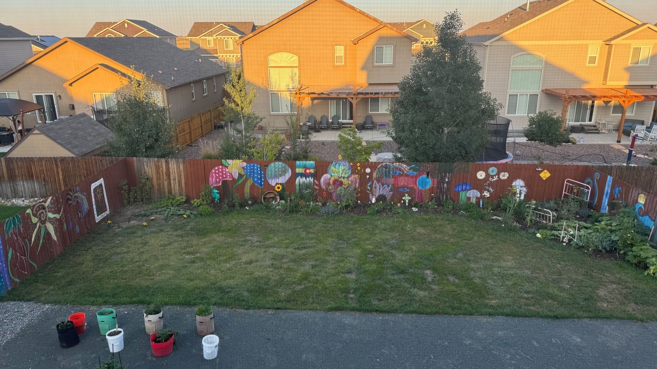 Photo of Outdoor in Elbert