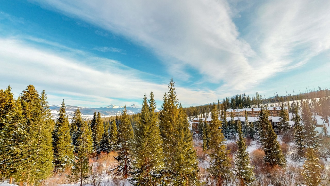 Photo of Outdoor in Wildernest