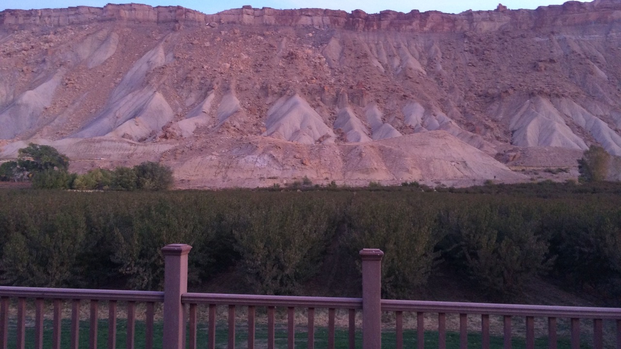 Photo of Others in Palisade